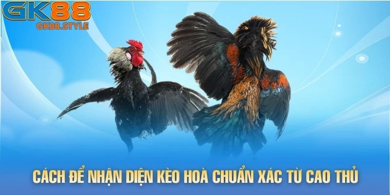 Cách để nhận diện kèo hoà chuẩn xác từ cao thủ