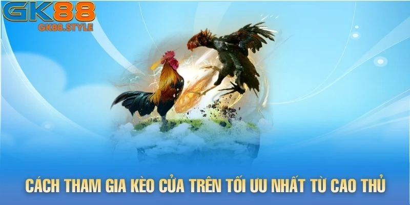 Cách tham gia kèo cửa trên tối ưu nhất từ cao thủ