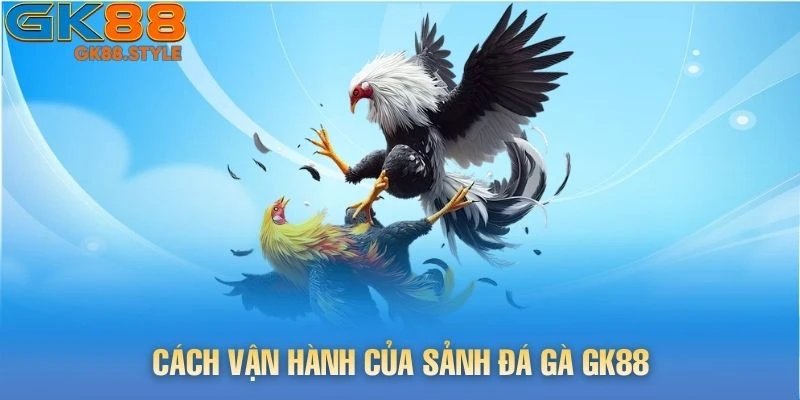 Cách vận hành của sảnh đá gà gk88