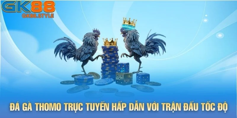 Đá Gà Thomo